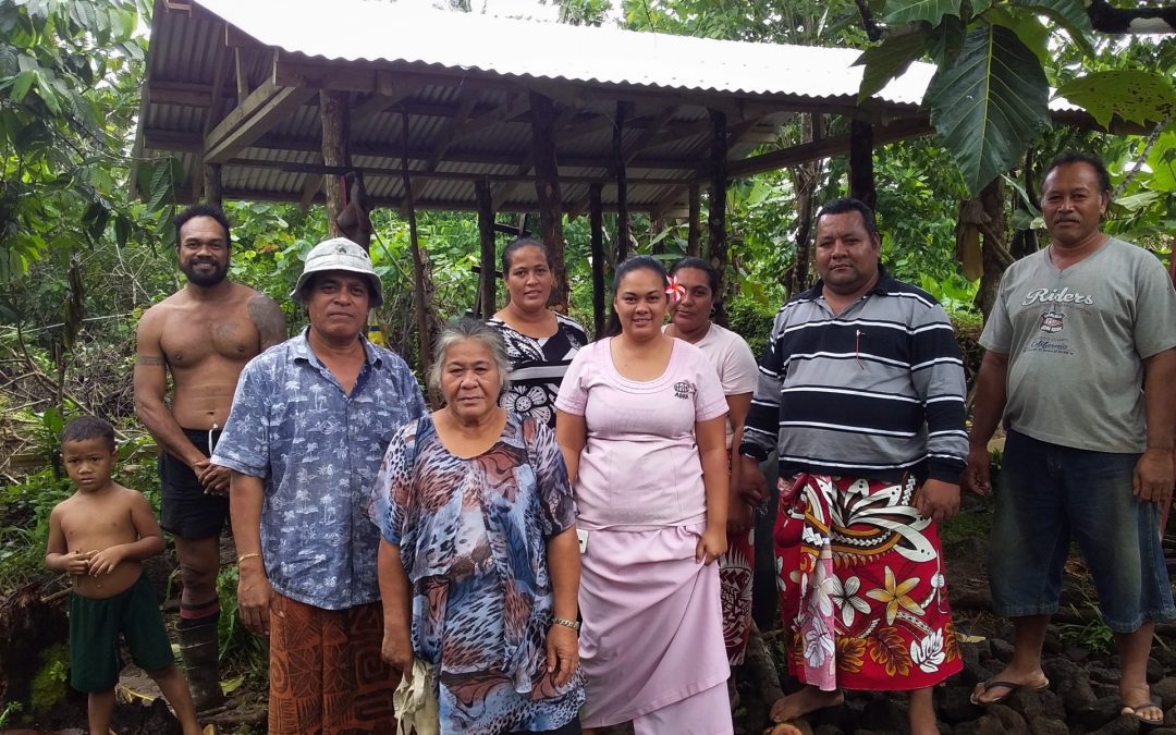 An update on Matatufu, Samoa