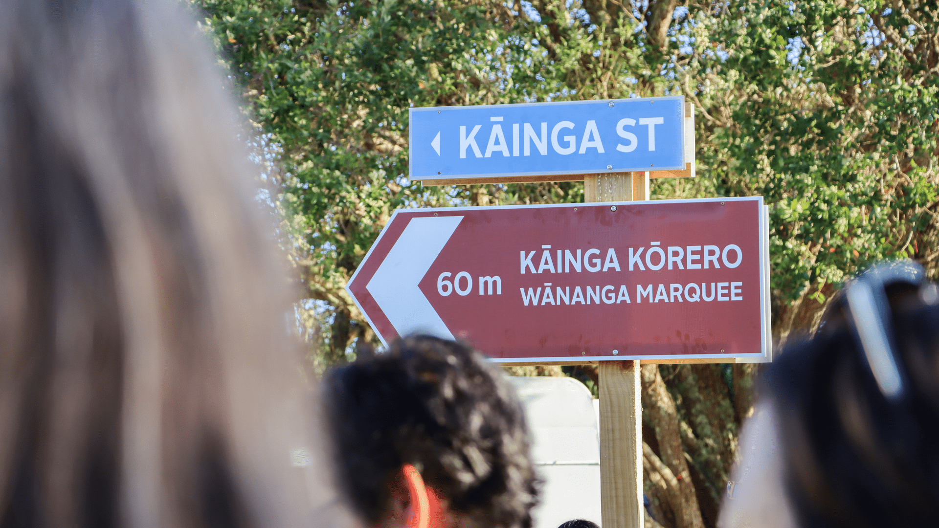 A sign points to the waitangi day expo and lane of housing stands that models a street.